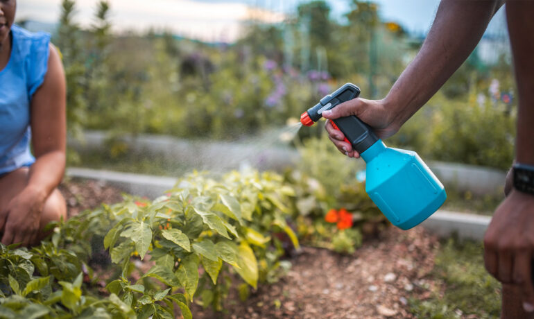 15 Homemade Organic Gardening Sprays That Actually Work