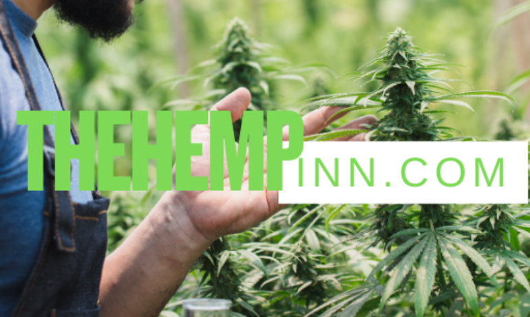 Exploring the Hemp Industry: A Growing Green Revolution